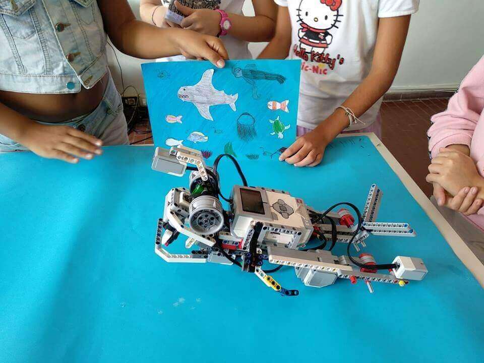 Blue Robotic Challenge - esempio di pesce robot